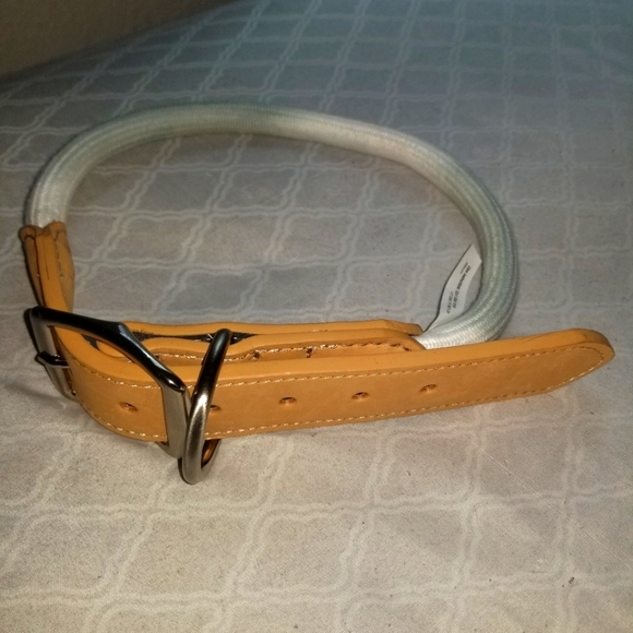 Brand new dog collar - Picture 1 of 2